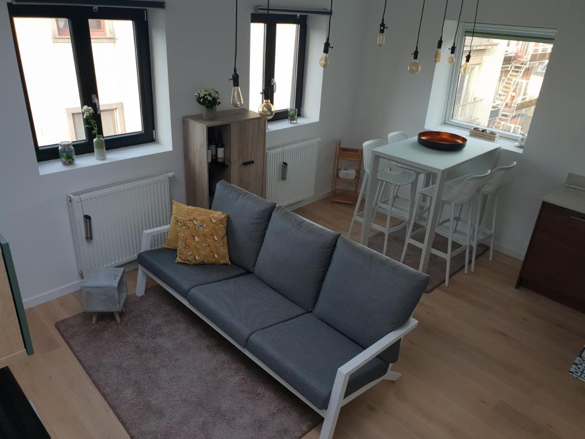 Uitzicht Op Het Mas Apartment Antwerp Luaran gambar